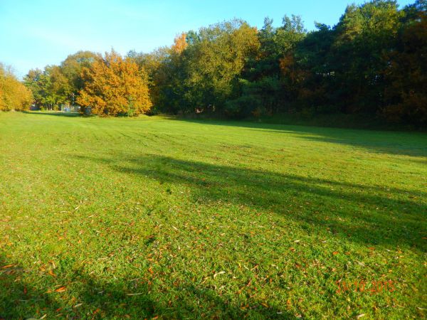 kampeerveld